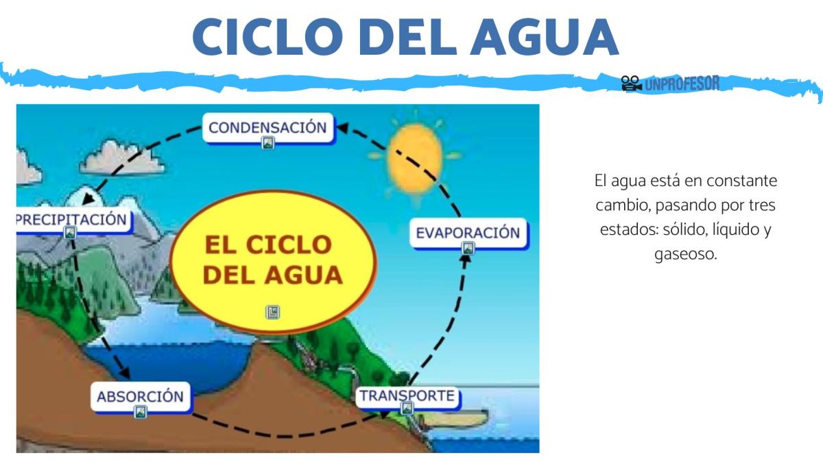 Qué es el ciclo del agua - resumen