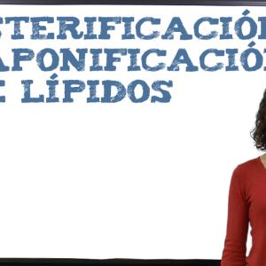 Esterificación y saponificación de lípidos