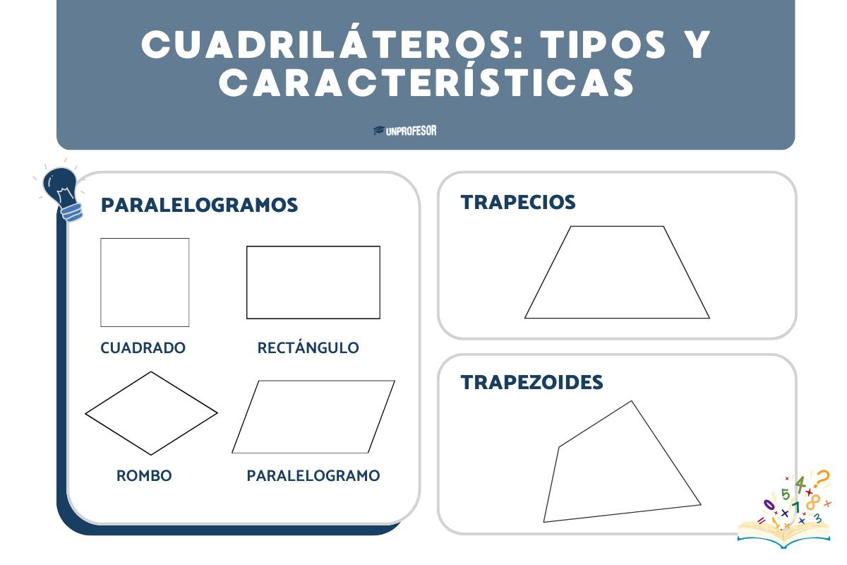 Cuadriláteros: tipos y características