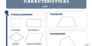 Cuadriláteros: tipos y características