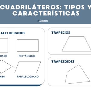 Cuadriláteros: tipos y características