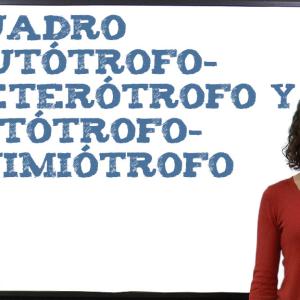 Cuadro autótrofo-heterótrofo y fotótrofo-quimiótrofo