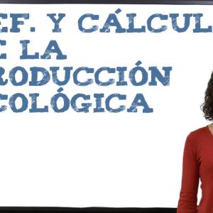 Definición y cálculo de la producción ecológica