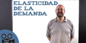 Qué es la elasticidad de la demanda