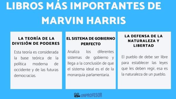 Qué es la separación de poderes (para niños) - ¿Qué es la separación de poderes?