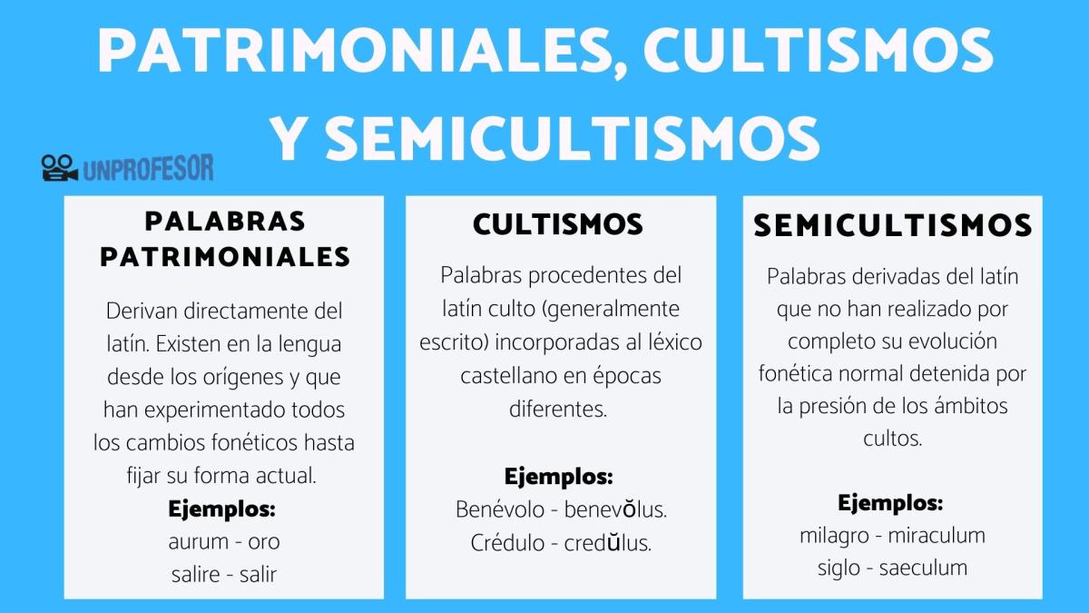 Diferencia entre las palabras patrimoniales, los cultismos y semicultismos