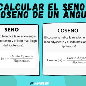 Cómo calcular el seno y coseno de un ángulo