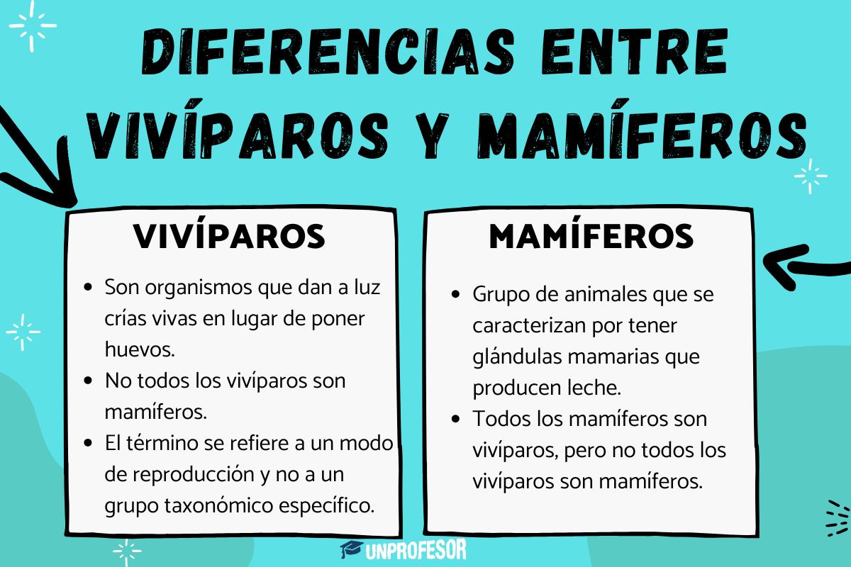 Diferencias entre vivíparos y mamíferos