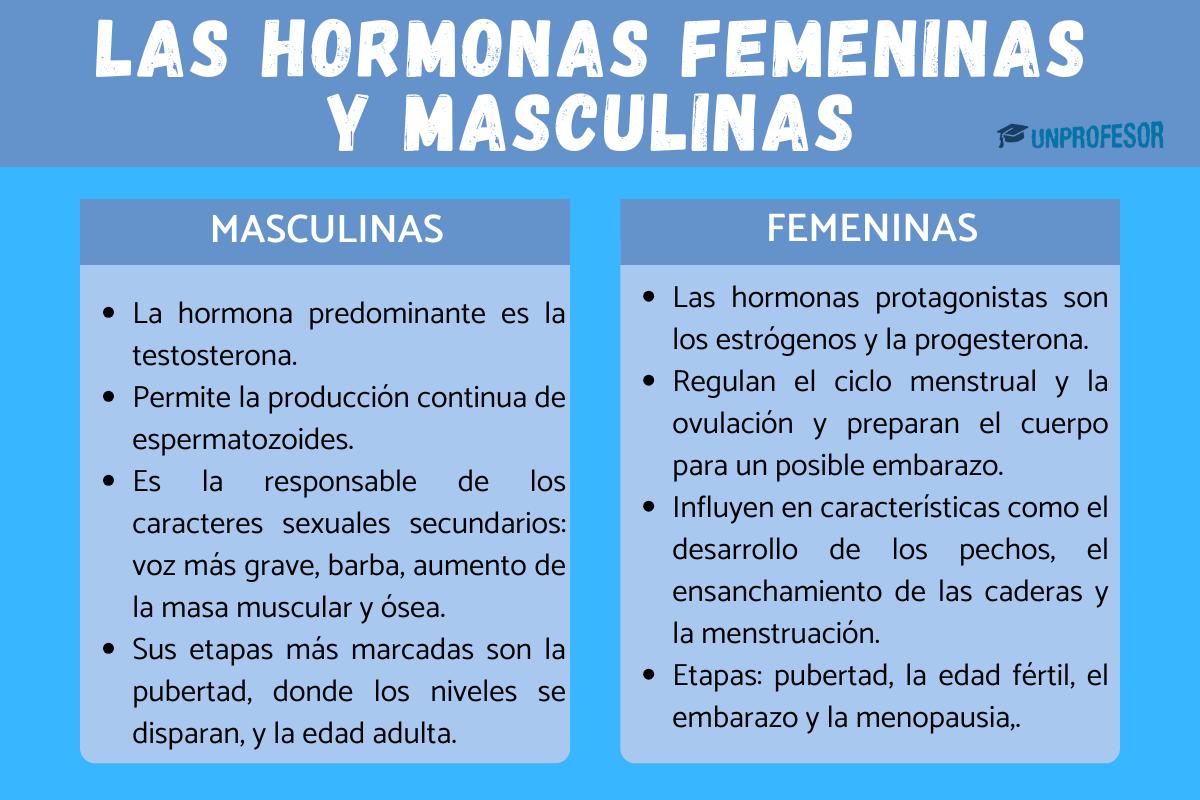 Hormonas femeninas y masculinas: diferencias