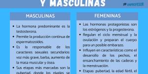 Hormonas femeninas y masculinas: diferencias