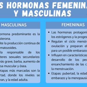 Hormonas femeninas y masculinas: diferencias