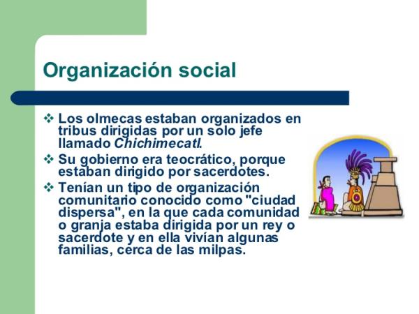 Organización SOCIAL de los OLMECAS - ¡resumen!