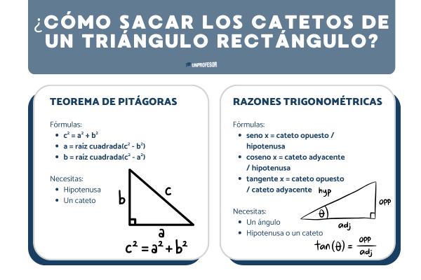 ¿Cómo sacar los catetos de un triángulo rectángulo?