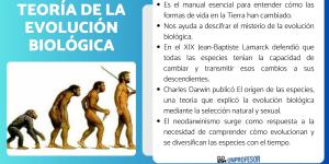 Teoría de la evolución biológica - resumen