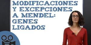 Modificaciones y excepciones a Mendel: genes ligados