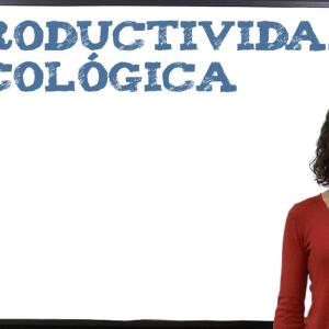 Definición y cálculo de la productividad ecológica