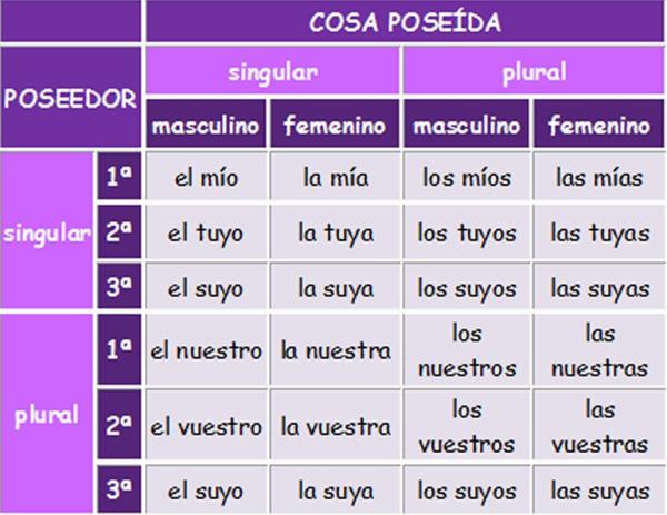 Los posesivos en castellano - Lista y ejemplos - Los determinantes posesivos tónicos 