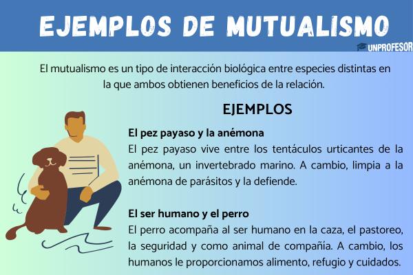 Ejemplos de mutualismo - Algunos ejemplos de mutualismo