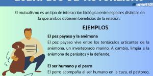 Ejemplos de mutualismo