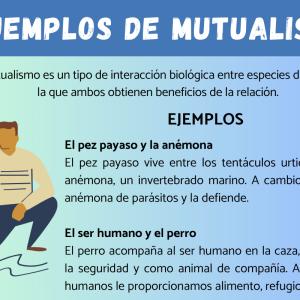 Ejemplos de mutualismo