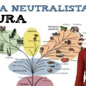 Teoría neutralista de Kimura