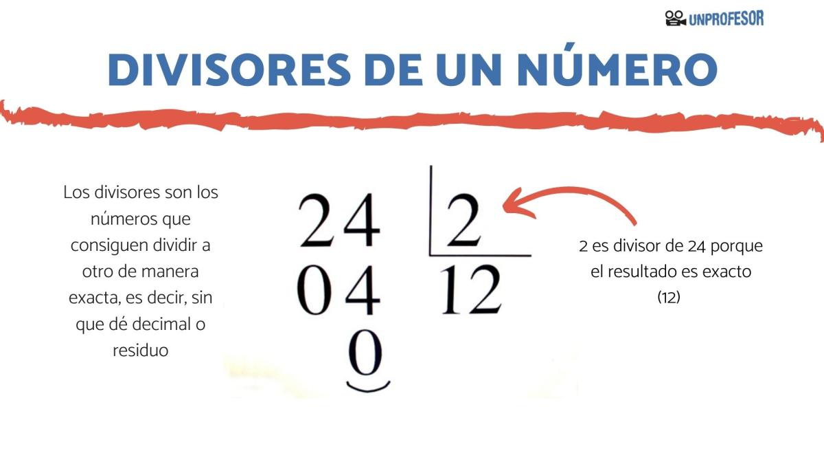 Qué son los divisores de un número - con ejemplos