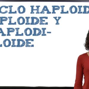 Ciclo Haploide, diploide y haplodiploide