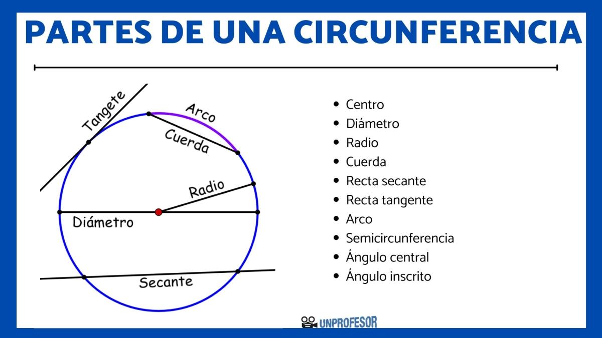 Partes de la circunferencia