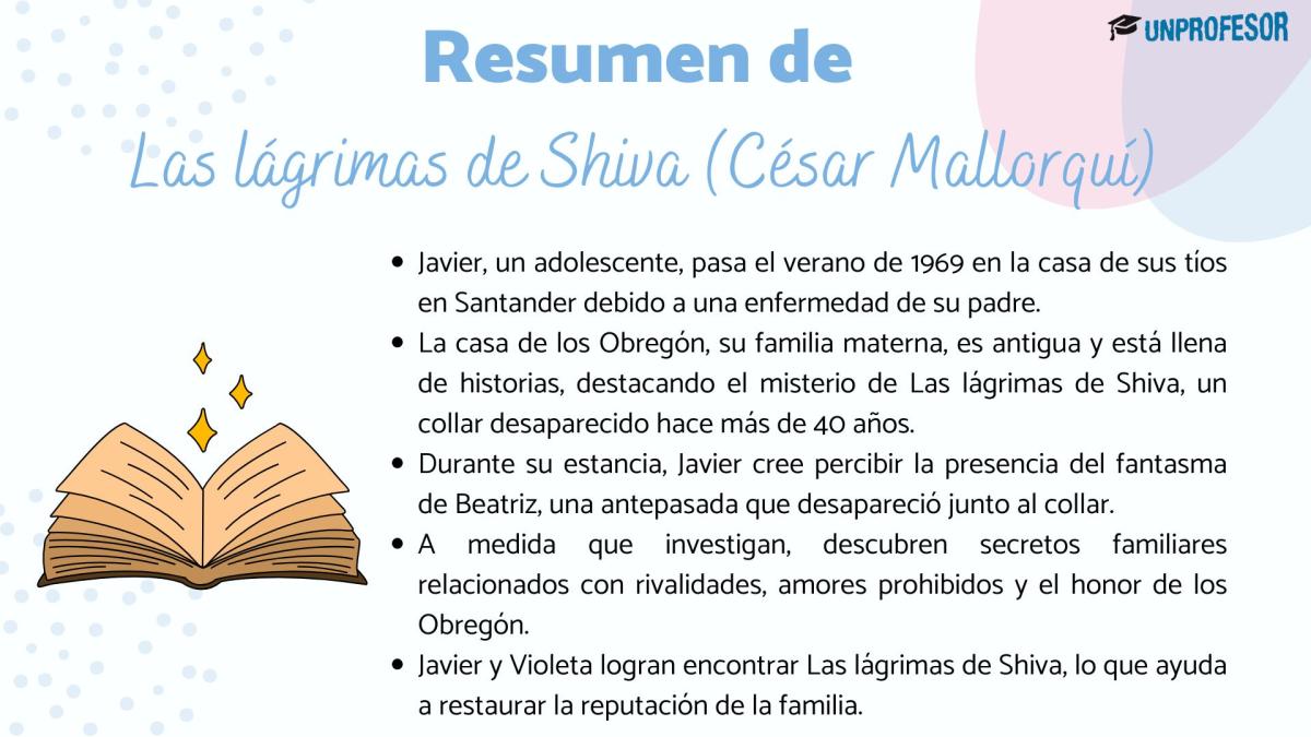 Las lágrimas de Shiva: resumen