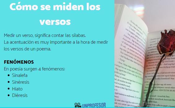 Versos alejandrinos: origen y ejemplos - ¿Cómo saber si un verso es alejandrino? 