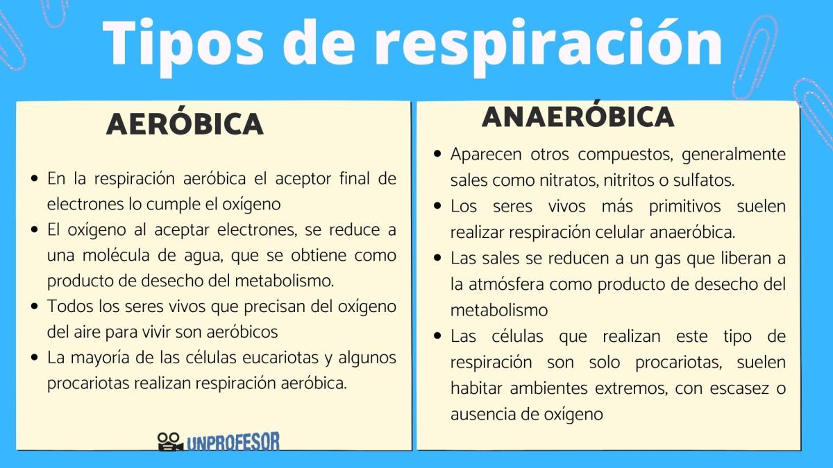 Diferencias entre respiración aerobia y anaerobia