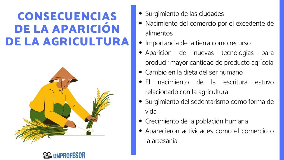 Consecuencias de la aparición de la agricultura
