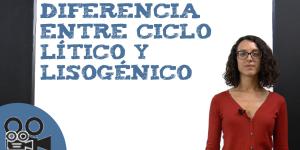 Diferencia entre ciclo lítico y lisogénico