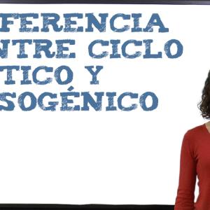 Diferencia entre ciclo lítico y lisogénico