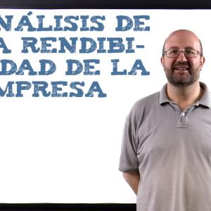 Análisis de la rendibilidad de la empresa