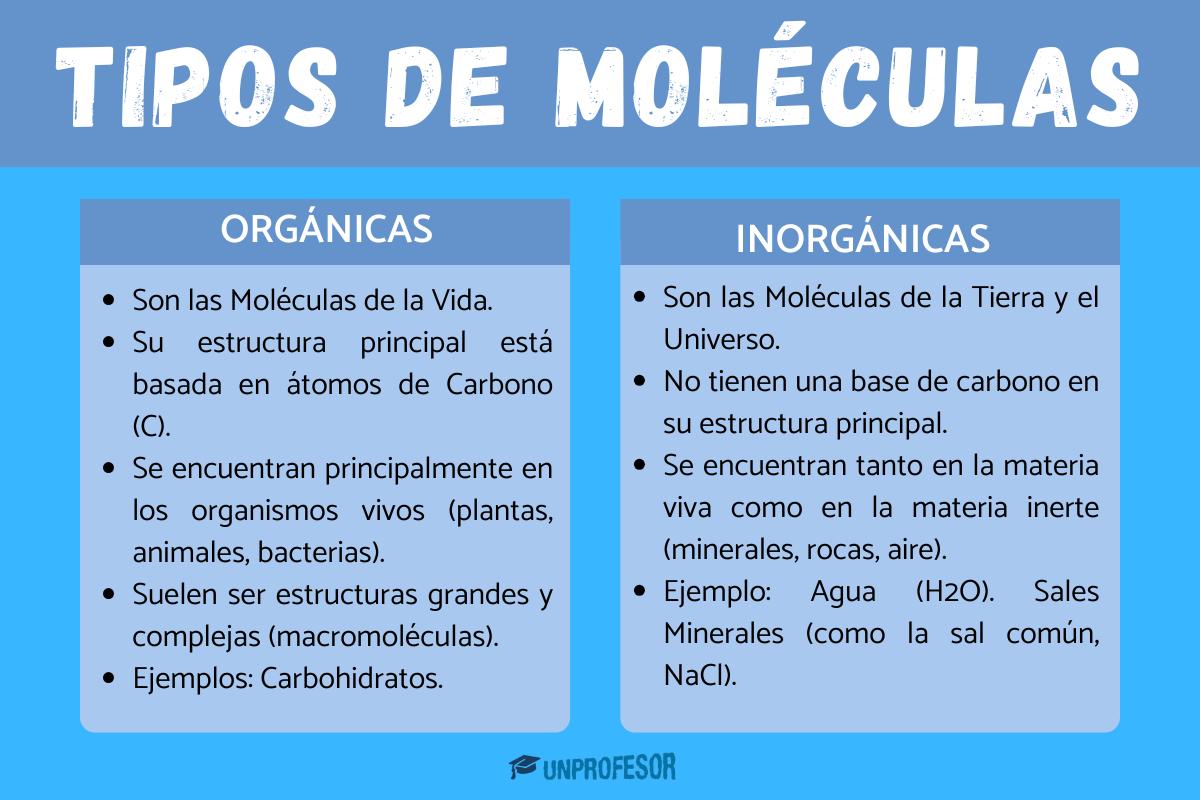 Tipos de moléculas: orgánicas e inorgánicas