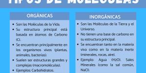 Tipos de moléculas: orgánicas e inorgánicas