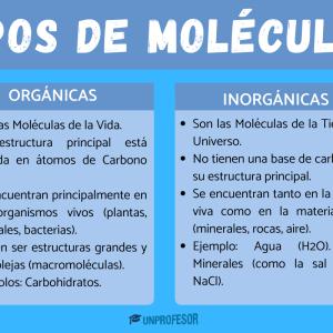 Tipos de moléculas: orgánicas e inorgánicas