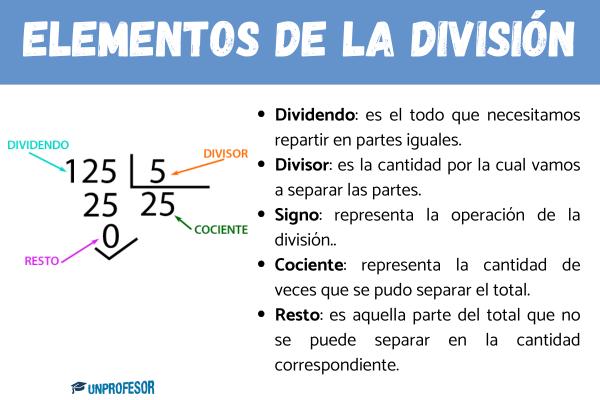 Elementos de la división - ¿Cuál es la importancia de la división en matemáticas?