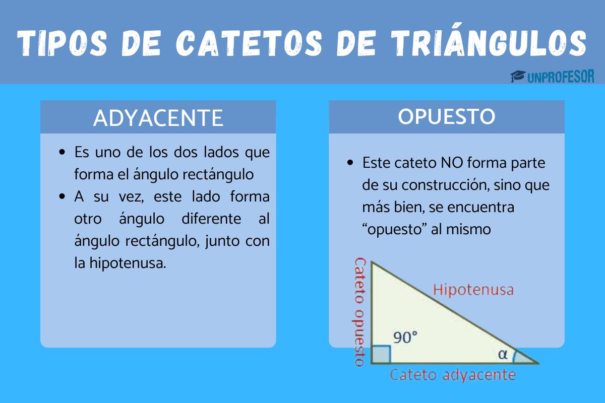 Cuántos tipos de catetos hay