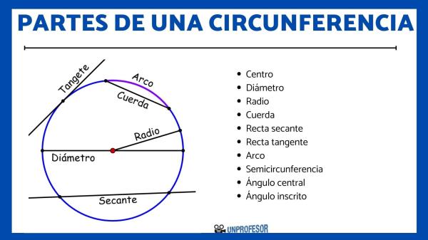 Qué es un ángulo inscrito en una circunferencia - Propiedad fundamental de los ángulos inscritos en una circunferencia