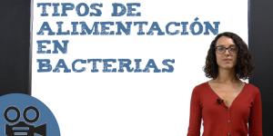 Tipos de alimentación en bacterias