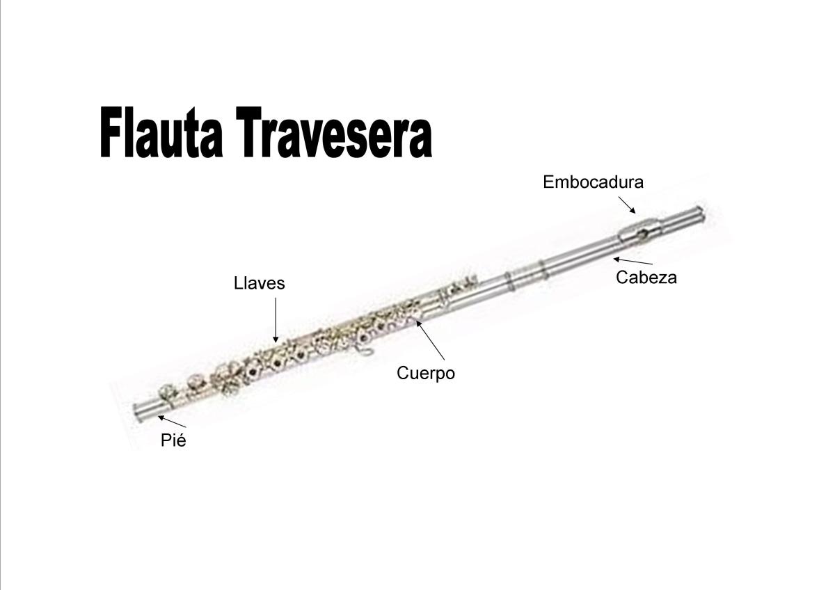 Partes de la flauta travesera