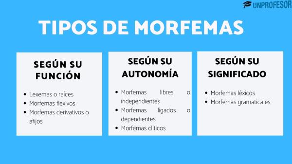 Qué es un morfema flexivo: ejemplos - ¿Qué es un morfema?