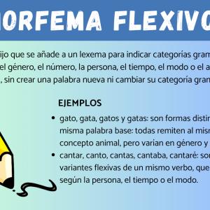 Qué es un morfema flexivo: ejemplos