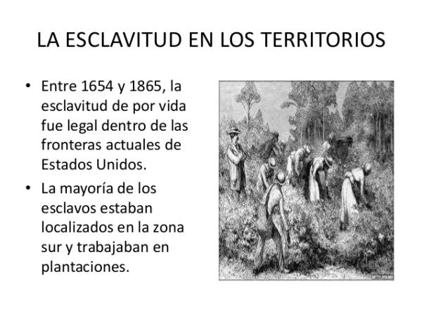 Esclavitud en Estados Unidos - Resumen - La época colonial