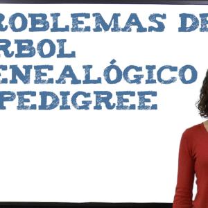 Problemas de árbol genealógico o pedigree