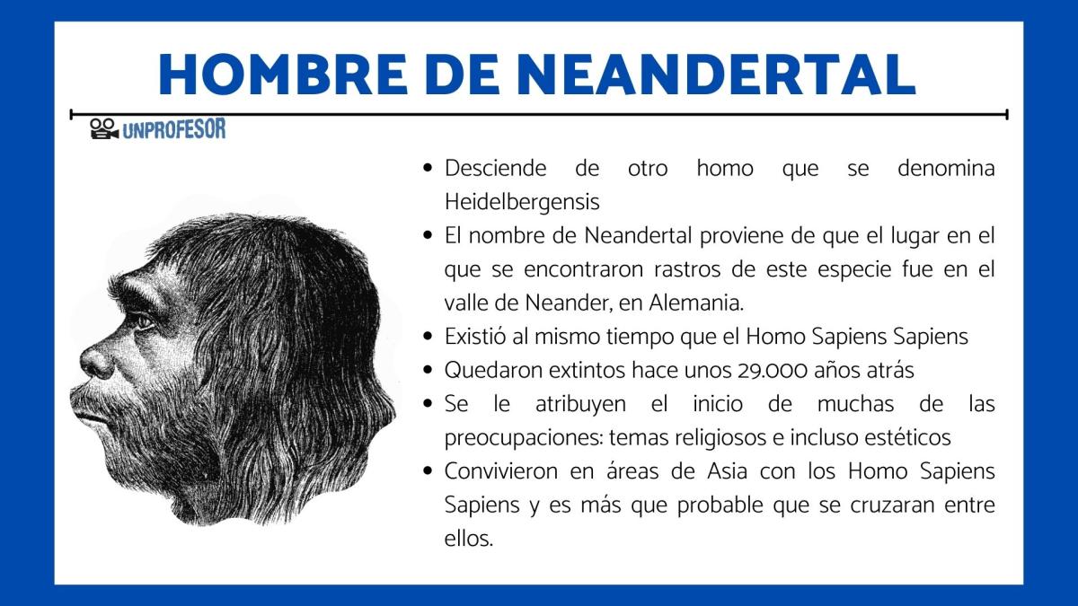 Hombre de Neandertal - Características y resumen