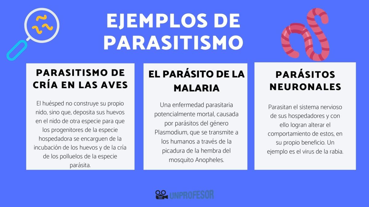 Ejemplos de parasitismo