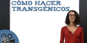 Microorganismos transgénicos: cómo hacer transgénicos